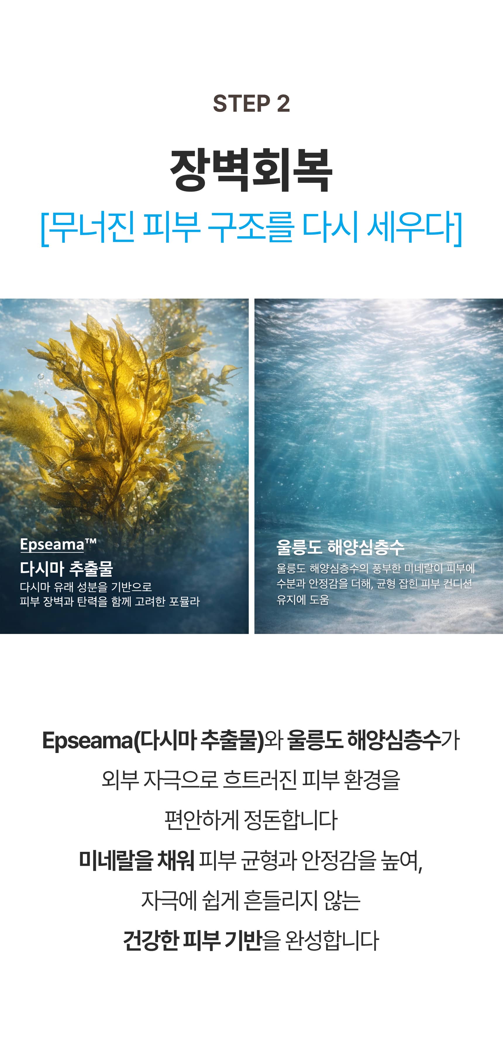 앙퓨제 앰플 detail 6