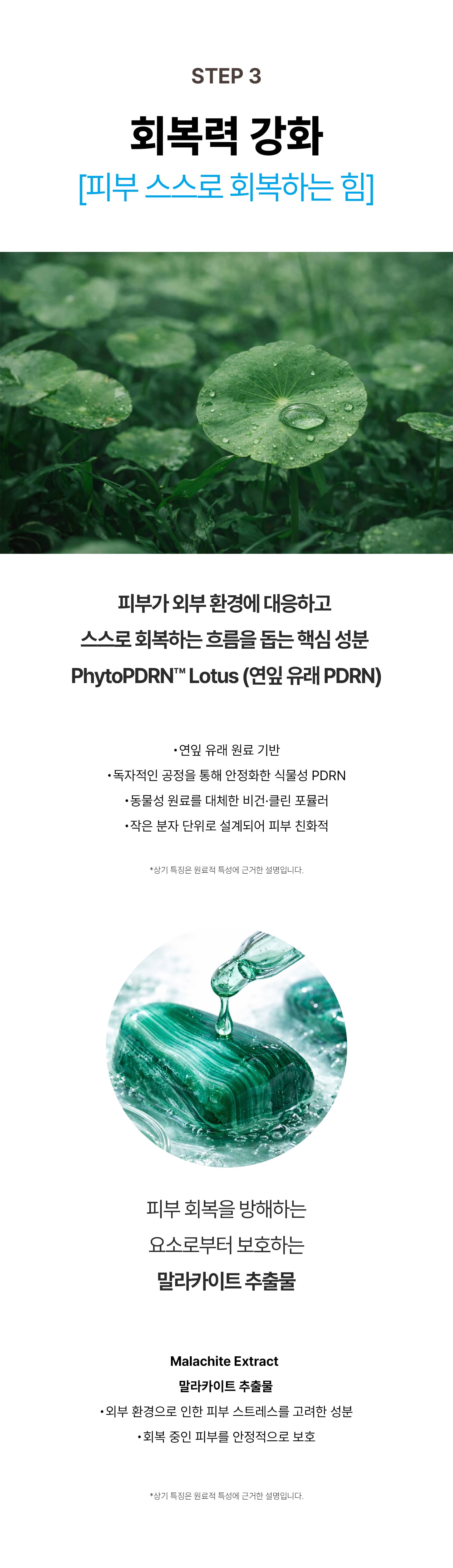 앙퓨제 앰플 detail 7