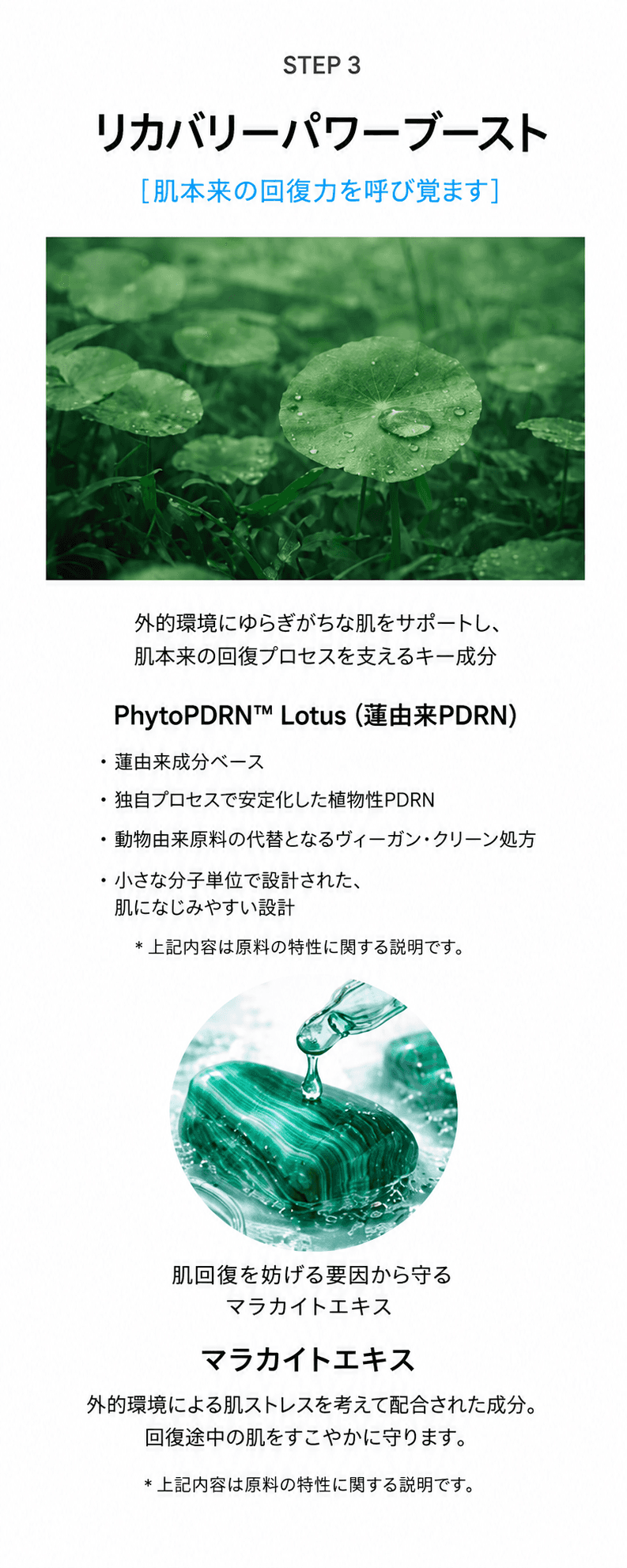 インフューザー アンプル detail 6
