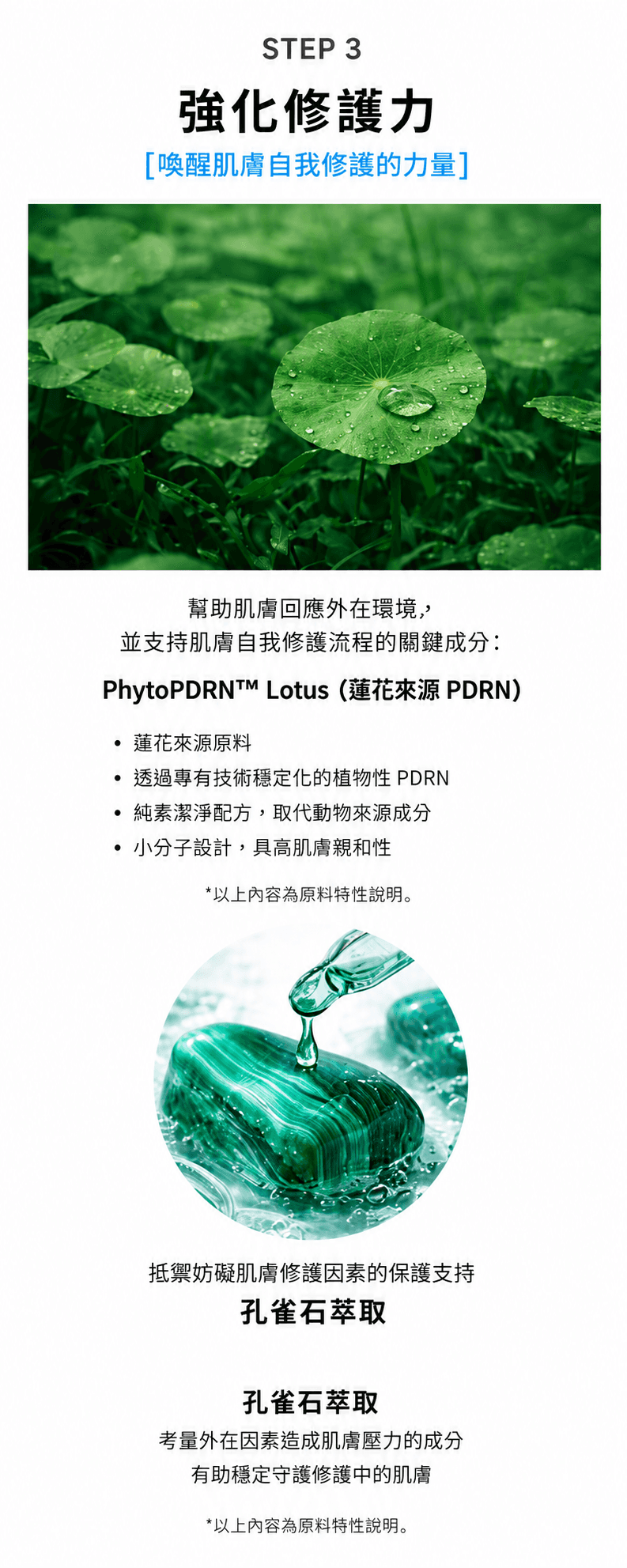 Infuser 安瓶精華 detail 6